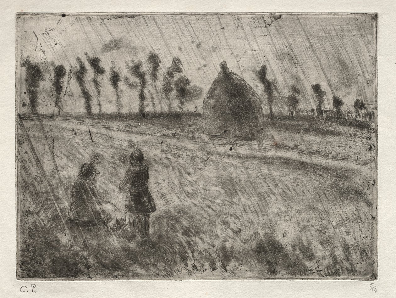 Efeitos da chuva de Francesco Conti