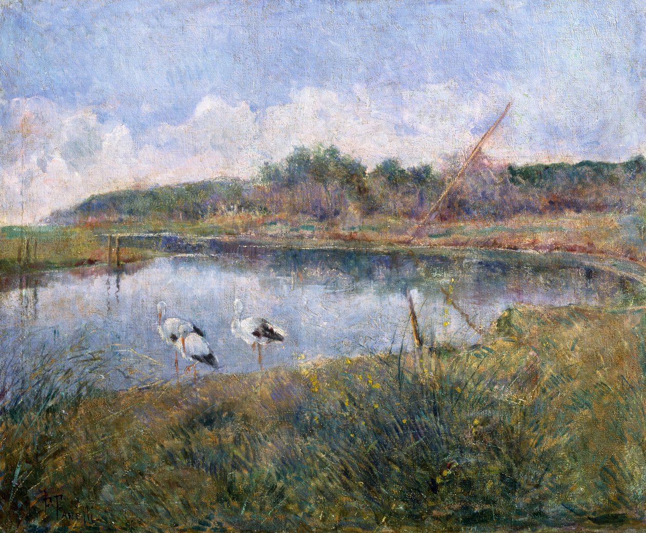 Massaciuccoli de Francesco Fanelli