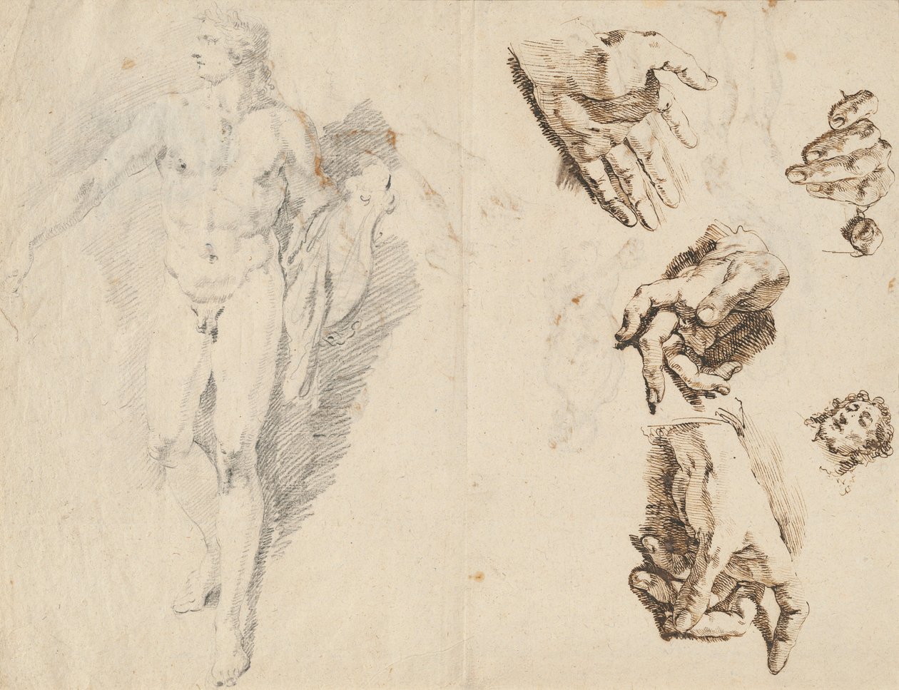 Apolo e estudos da própria mão do artista [reto] de Francesco Fontebasso