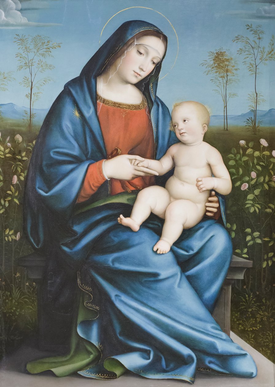 Madona e Menino no roseiral, Raibolini Francesco chamado Francesco Francia (óleo sobre painel) de Francesco Francia