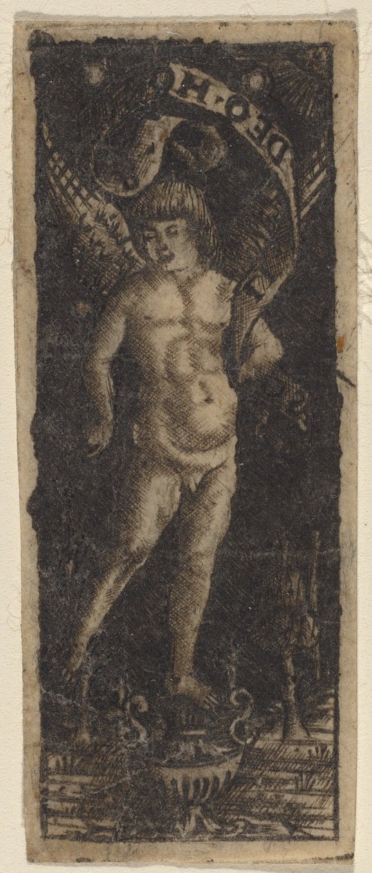 Querubim em um vaso com inscrição: "SOLI DEO HONOR" de Francesco Francia or Peregrino da Cesena
