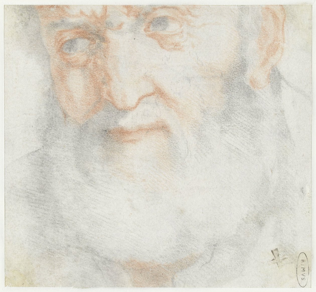 Cabeça de um velho com barba de Francesco Furini (attributed to)