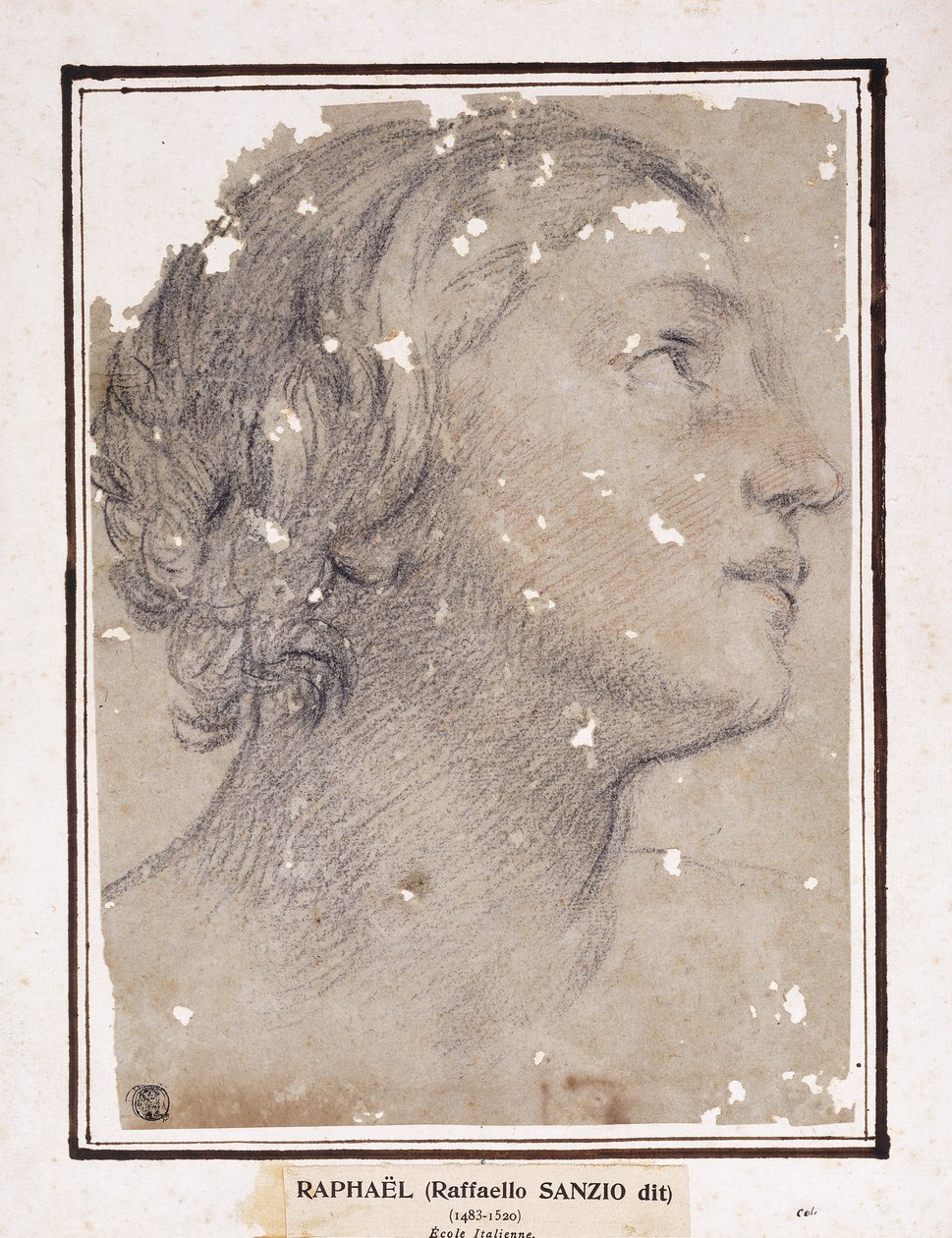 A cabeça de uma mulher, de perfil à direita, de Francesco Giovanni Gessi