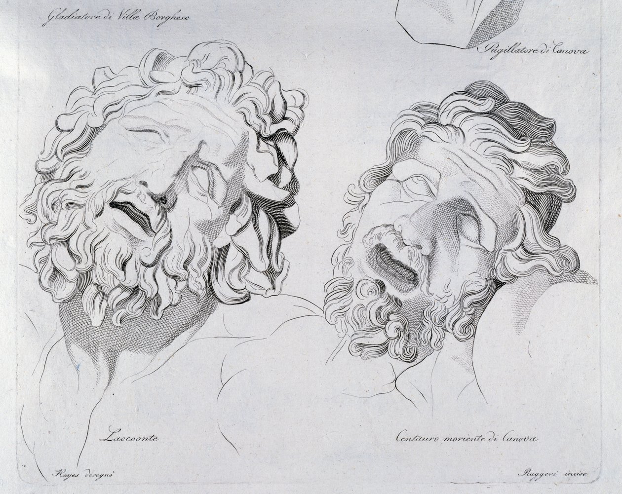 Chefes de Laocoon e Centaur moriente do Canova de Francesco Hayez