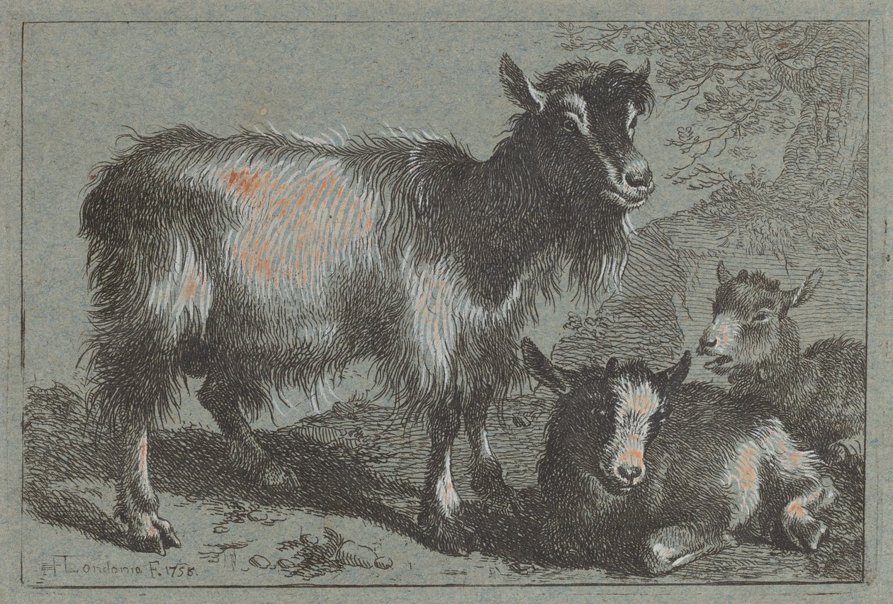 Cabra e dois filhos, 1758. de Francesco Londonio