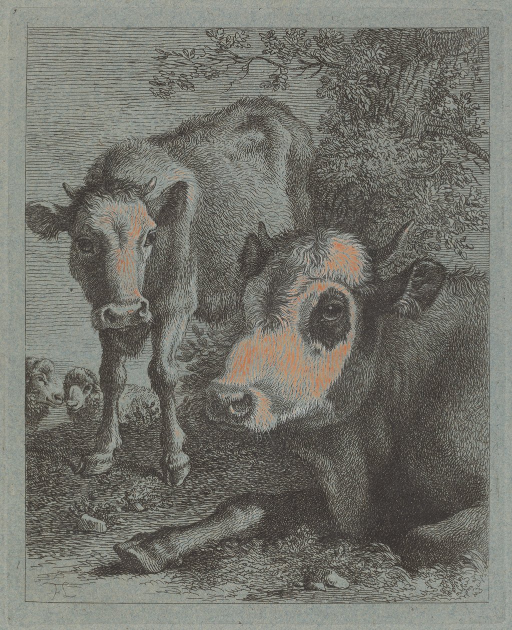 Vaca reclinada e bezerro ao ar livre de Francesco Londonio