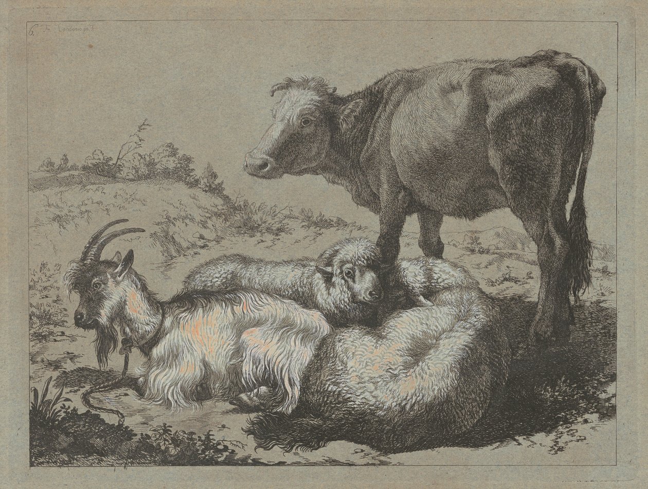 Boi em pé, duas ovelhas e uma cabra, c. 1762. de Francesco Londonio