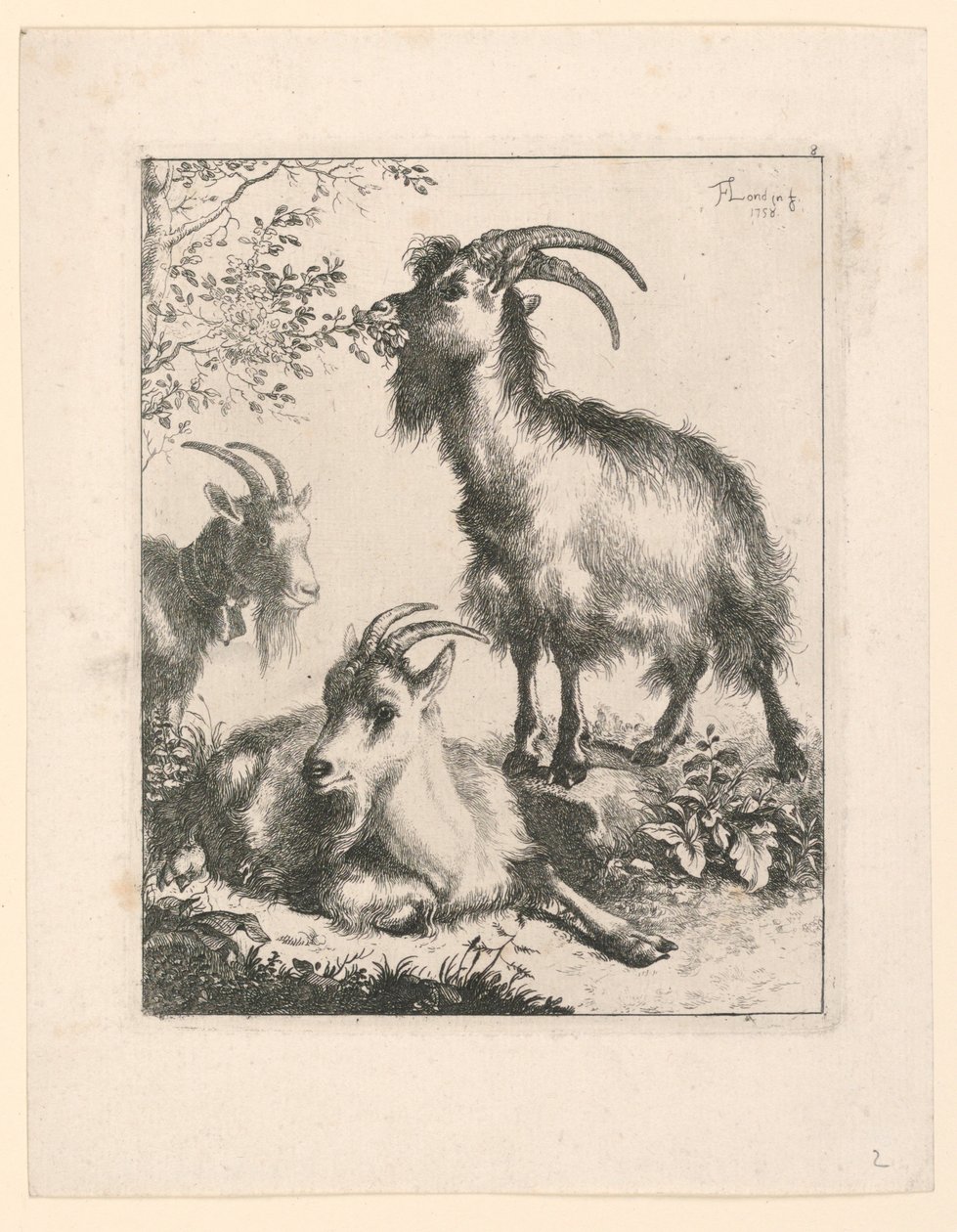Três cabras de Francesco Londonio
