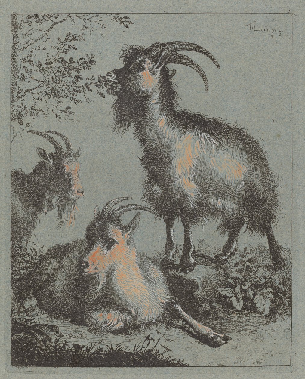Três cabras, 1758. de Francesco Londonio