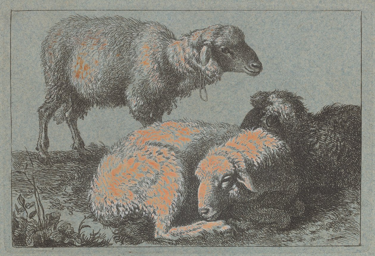 Duas Ovelhas Reclinadas e uma Ovelha em Pé, 17571758. de Francesco Londonio