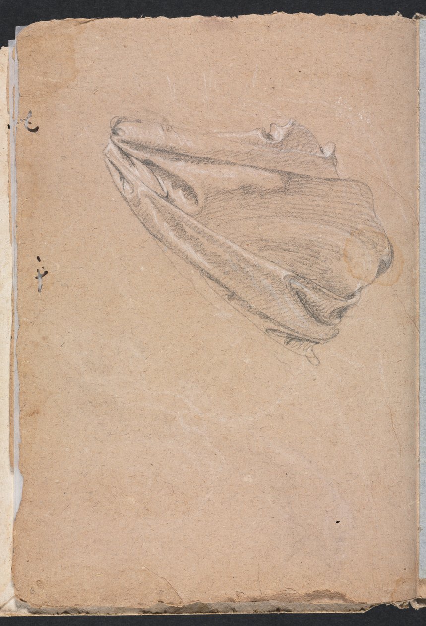 Verona Sketchbook: Drapery study page 6, 1760. de Francesco Lorenzi
