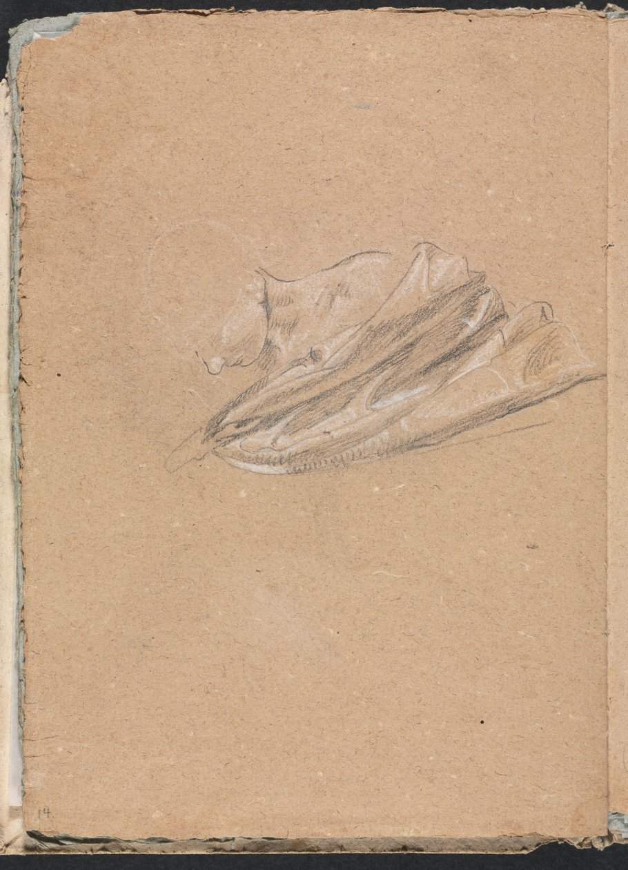 Caderno de desenho de Verona: Cabeça e ombro com cortinas, página 14, 1760. de Francesco Lorenzi