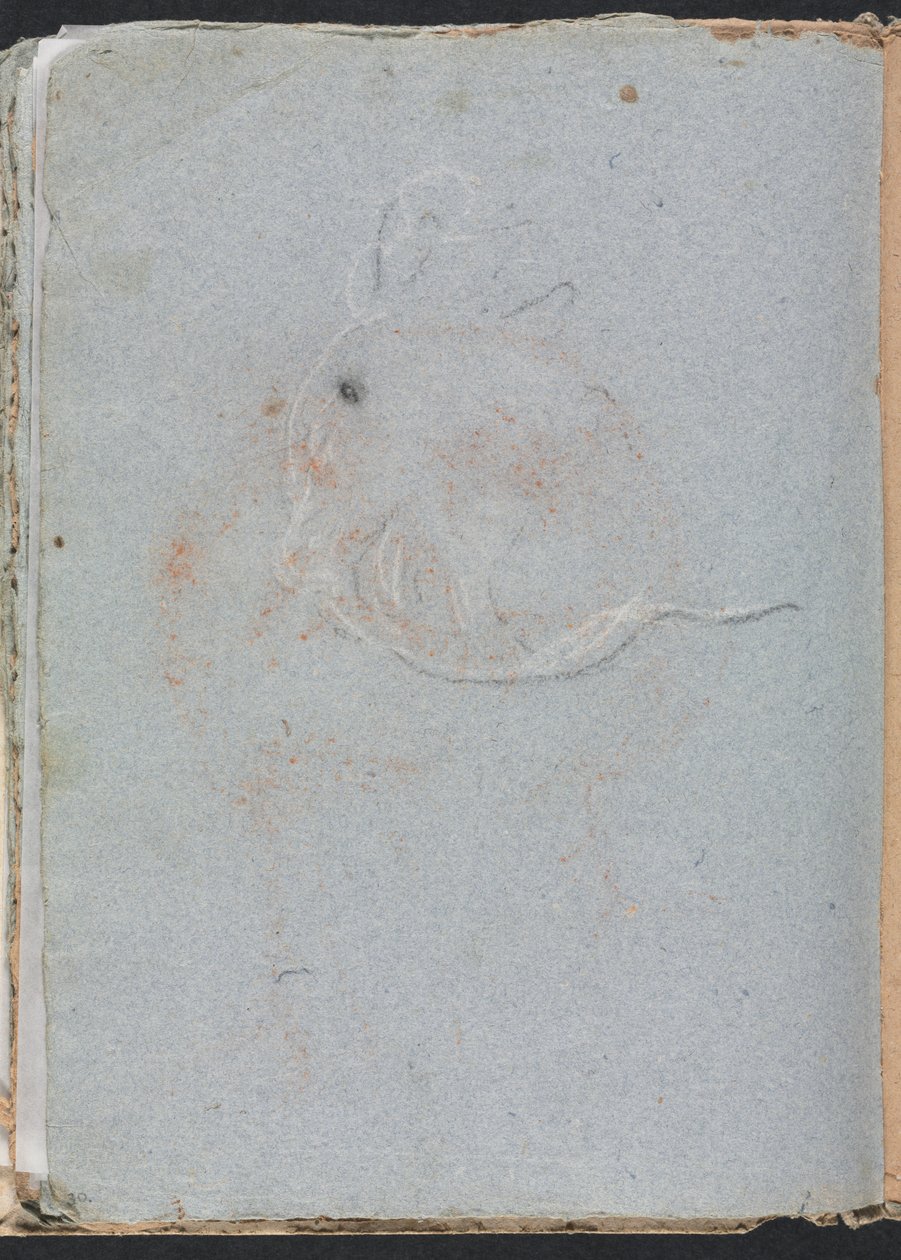 Verona Sketchbook: Head page 30, 1760. de Francesco Lorenzi