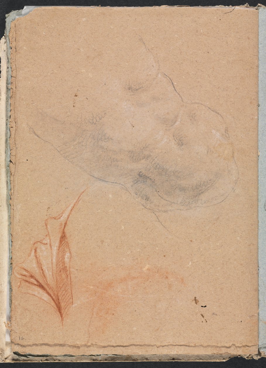 Verona Sketchbook: Torso masculino nu com cortinas, página 16, 1760. de Francesco Lorenzi