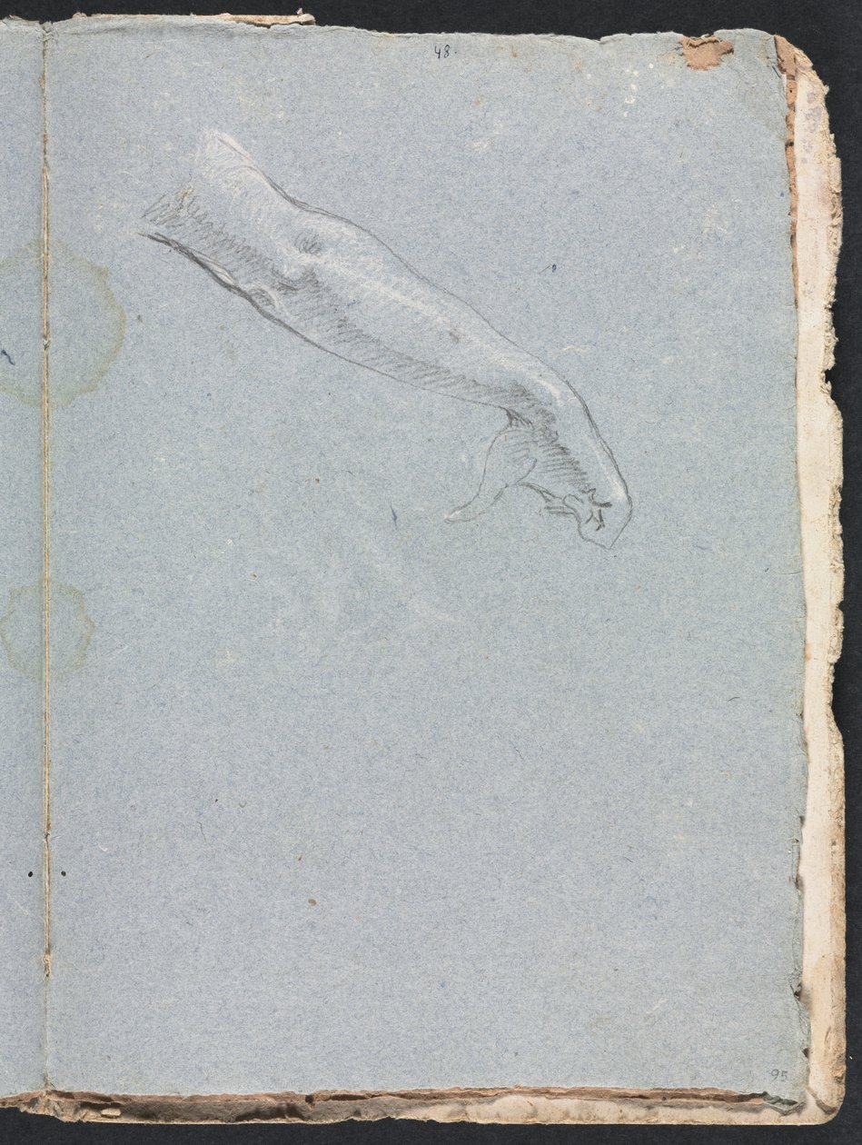 Caderno de desenho de Verona: Braço e mão direita, página 95, 1760. de Francesco Lorenzi