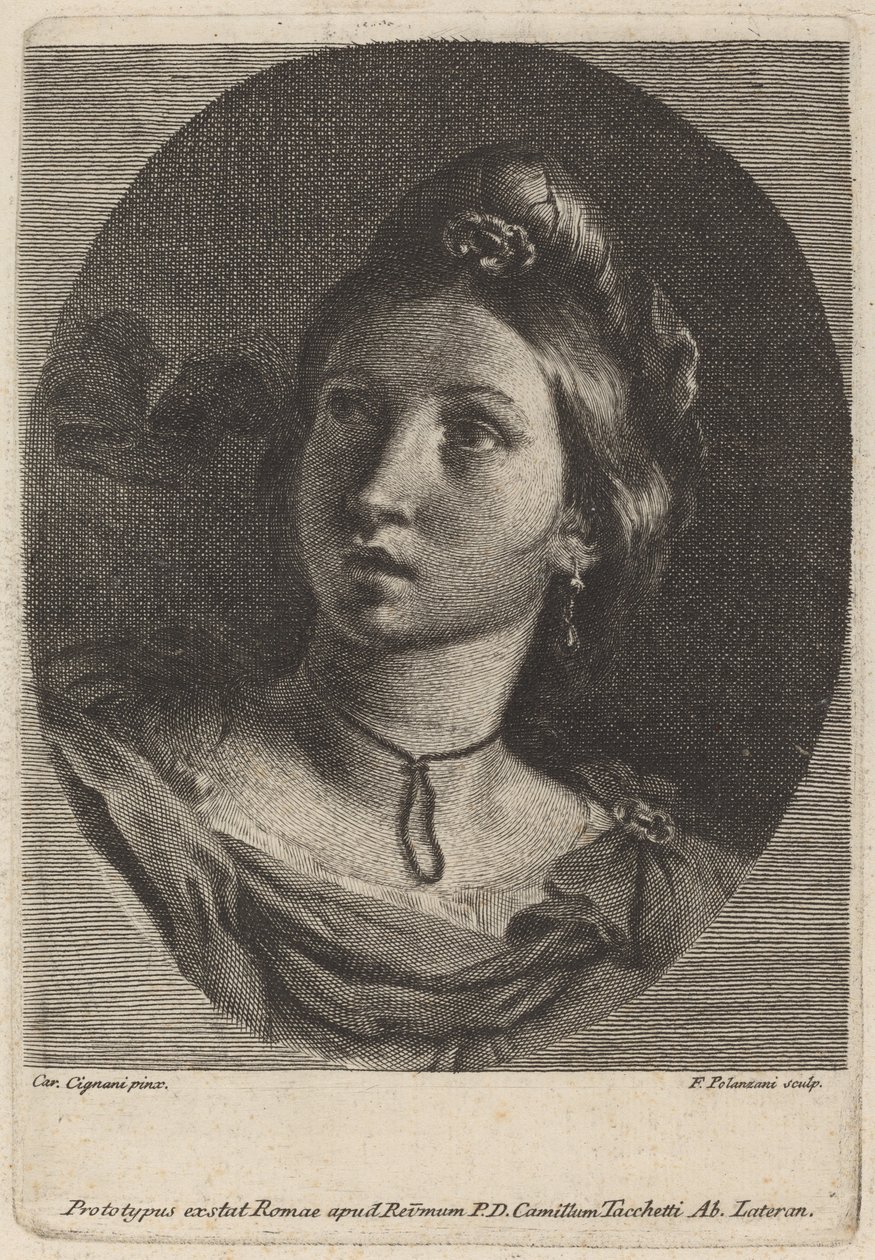 Cabeça de uma jovem de Francesco Polanzani after Carlo Cignani