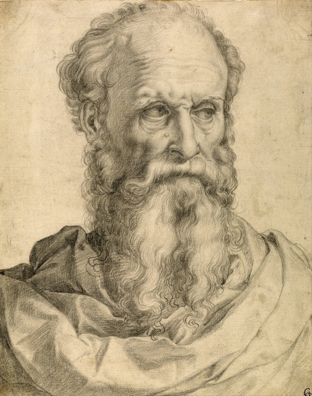 Cabeça e ombros de um homem barbudo de Francesco Salviati