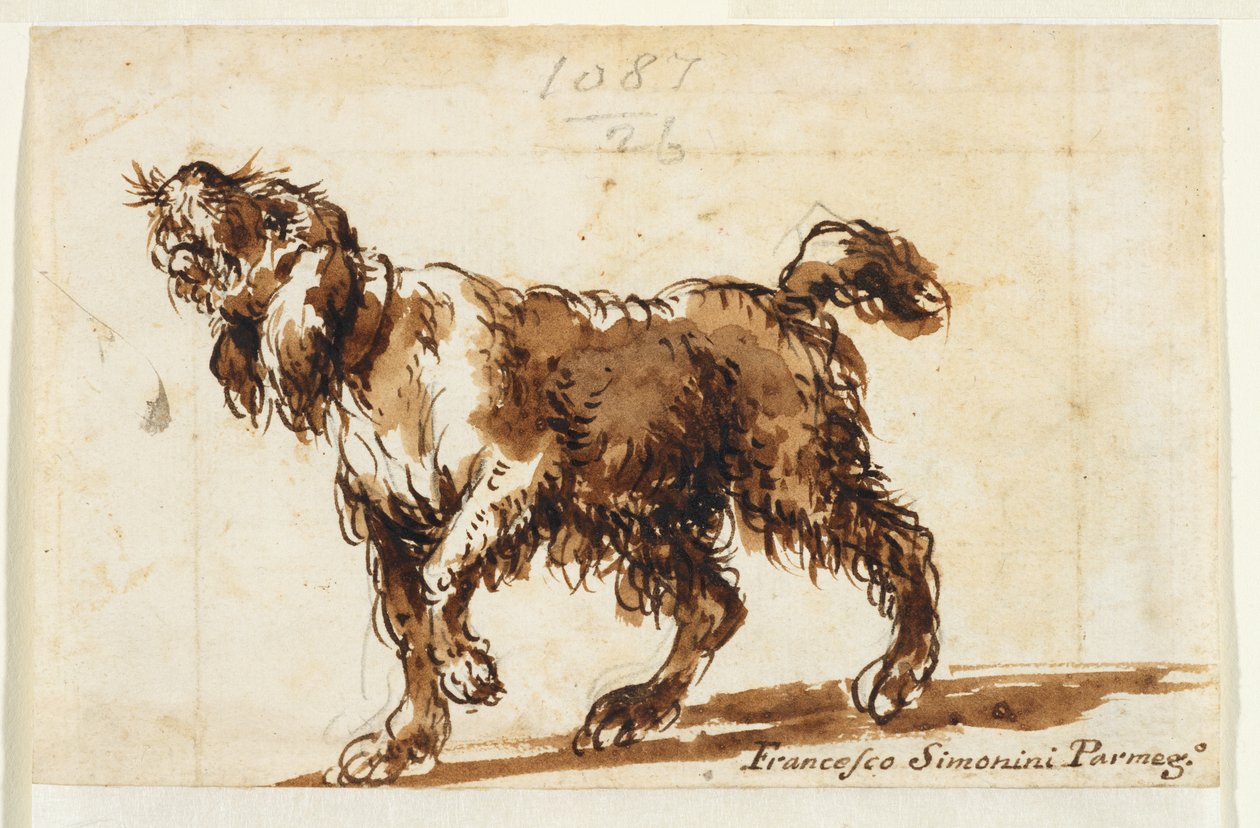 Uivo de cão (frente), c.1700-50 (giz preto, caneta e tinta castanha, lavagem castanha, grafite sobre papel vegetal) de Francesco Simonini