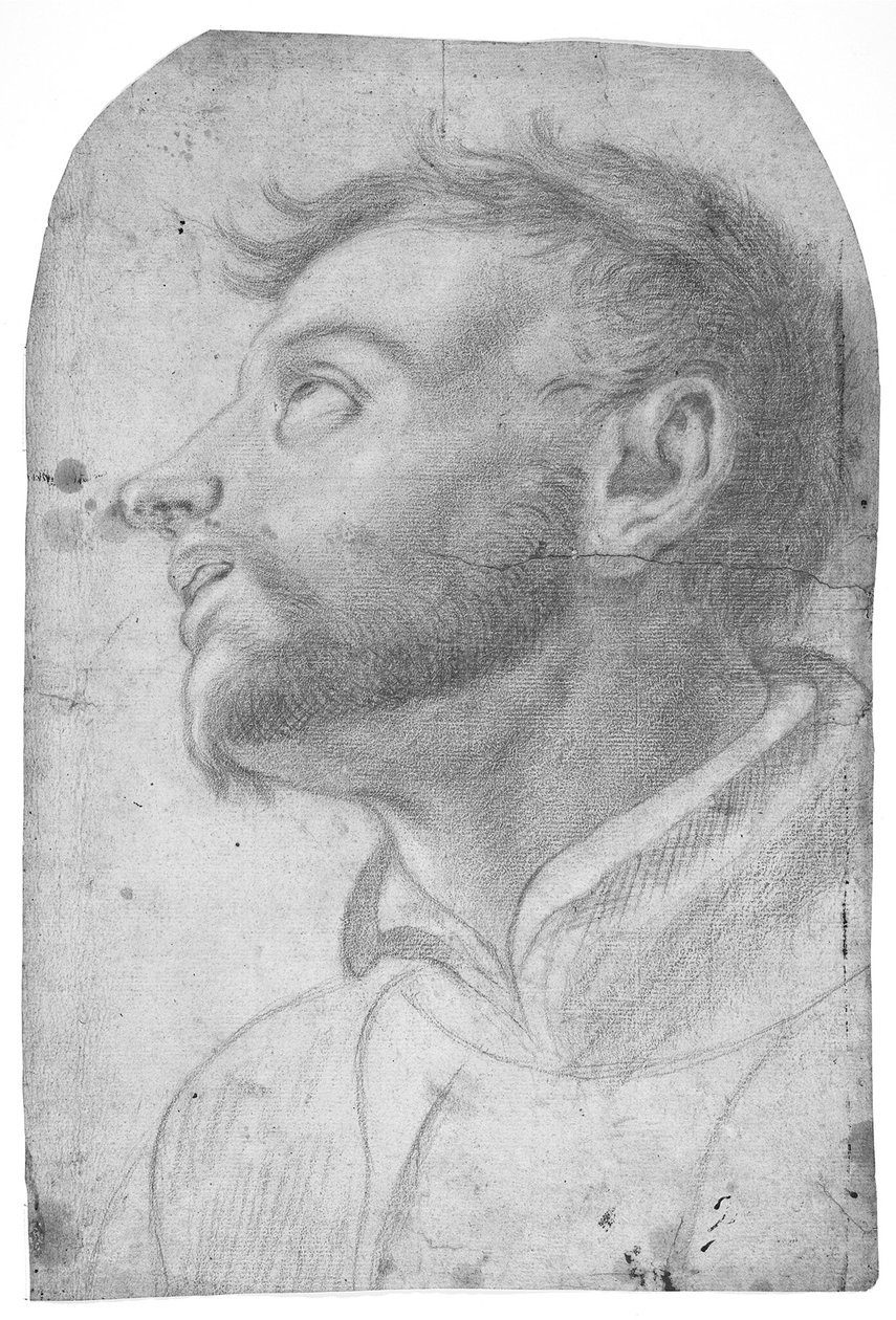 Cabeça de um homem a olhar para cima de Francesco Solimena