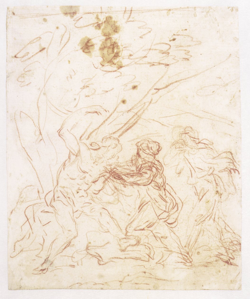 São Sebastião amamentado por Santa Irene de Francesco Solimena