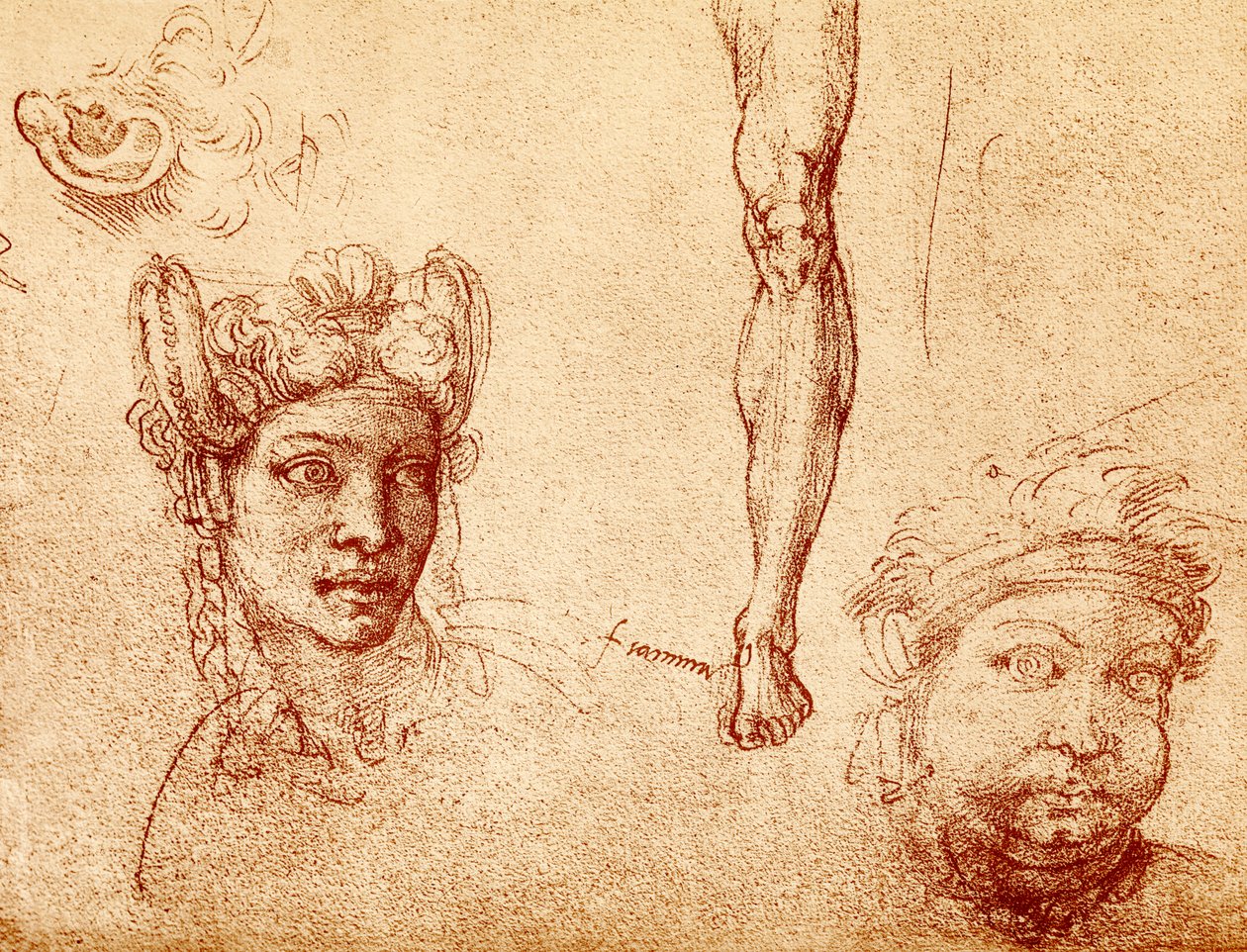 Estudos de cabeça e perna de Francesco Ubertini Bacchiacca