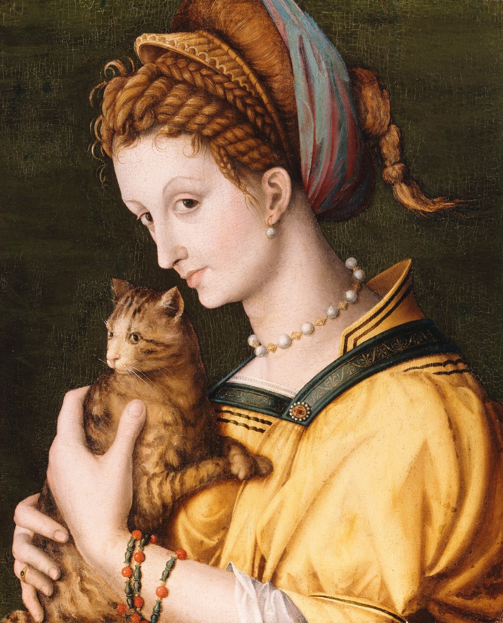 Senhora com um gato, c.1525-30 de Francesco Ubertini Bacchiacca