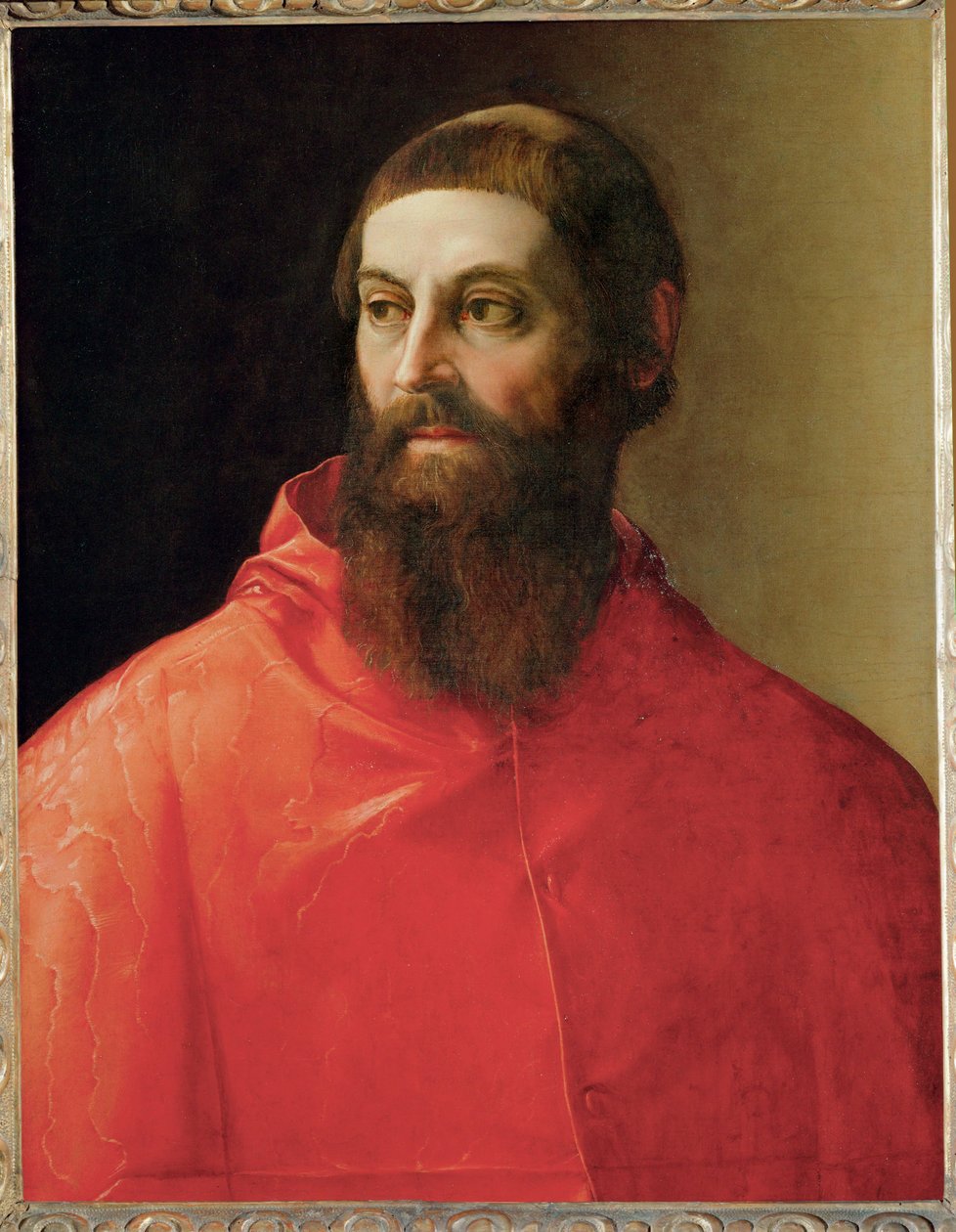 Cardeal Rodolfo Pio (pintura sobre tela) de Francesco de Rossi Salviati