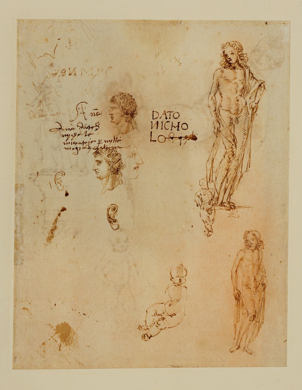 Três perfis; orelhas; dois Apolos ... de Francesco di Simone (attr. to)