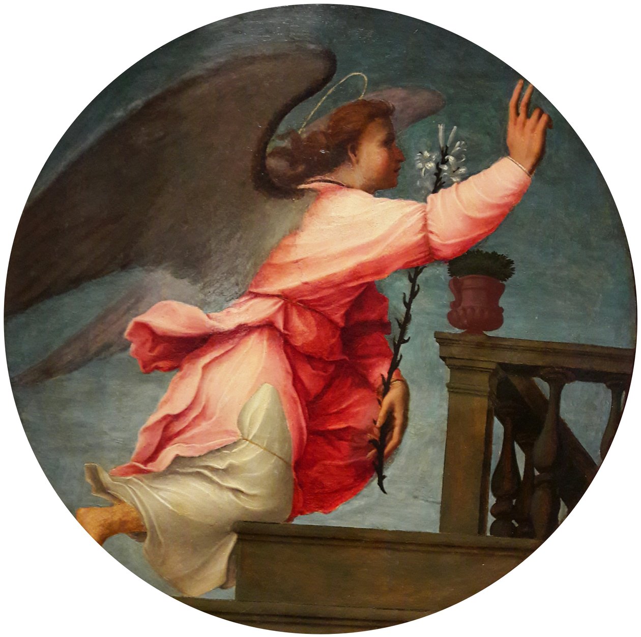 Anjo do par da Anunciação de Francesco di Cristofano Franciabigio