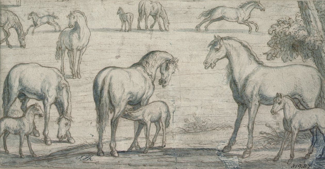 Éguas e potros, século XVII (desenho) de Francis Barlow