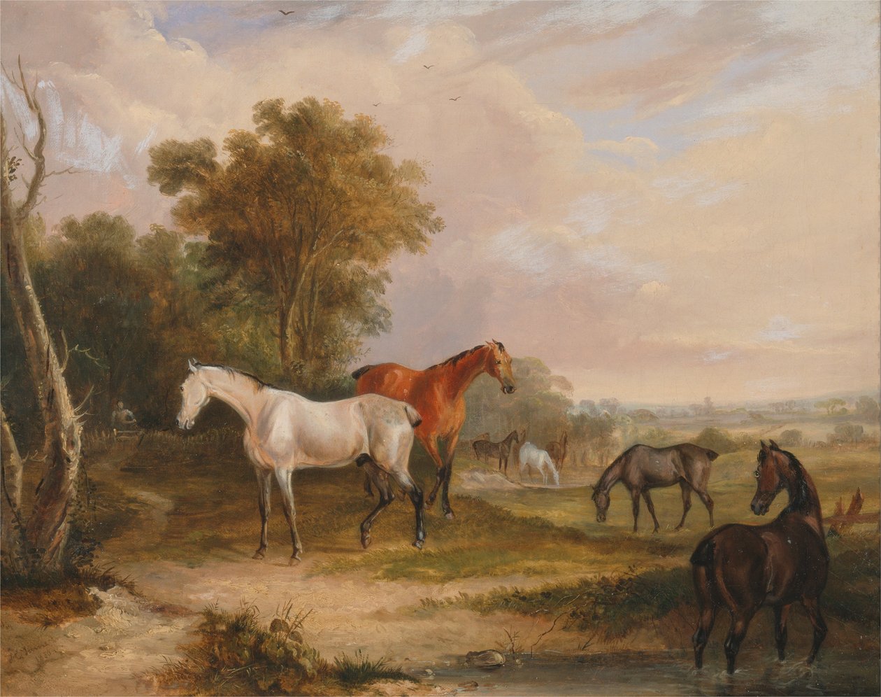 Cavalos pastando - um garanhão cinza pastando com éguas em um prado de Francis Calcraft Turner
