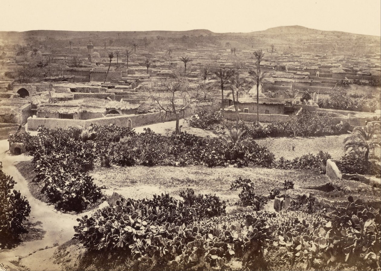 Gaza, a cidade nova de Francis Frith
