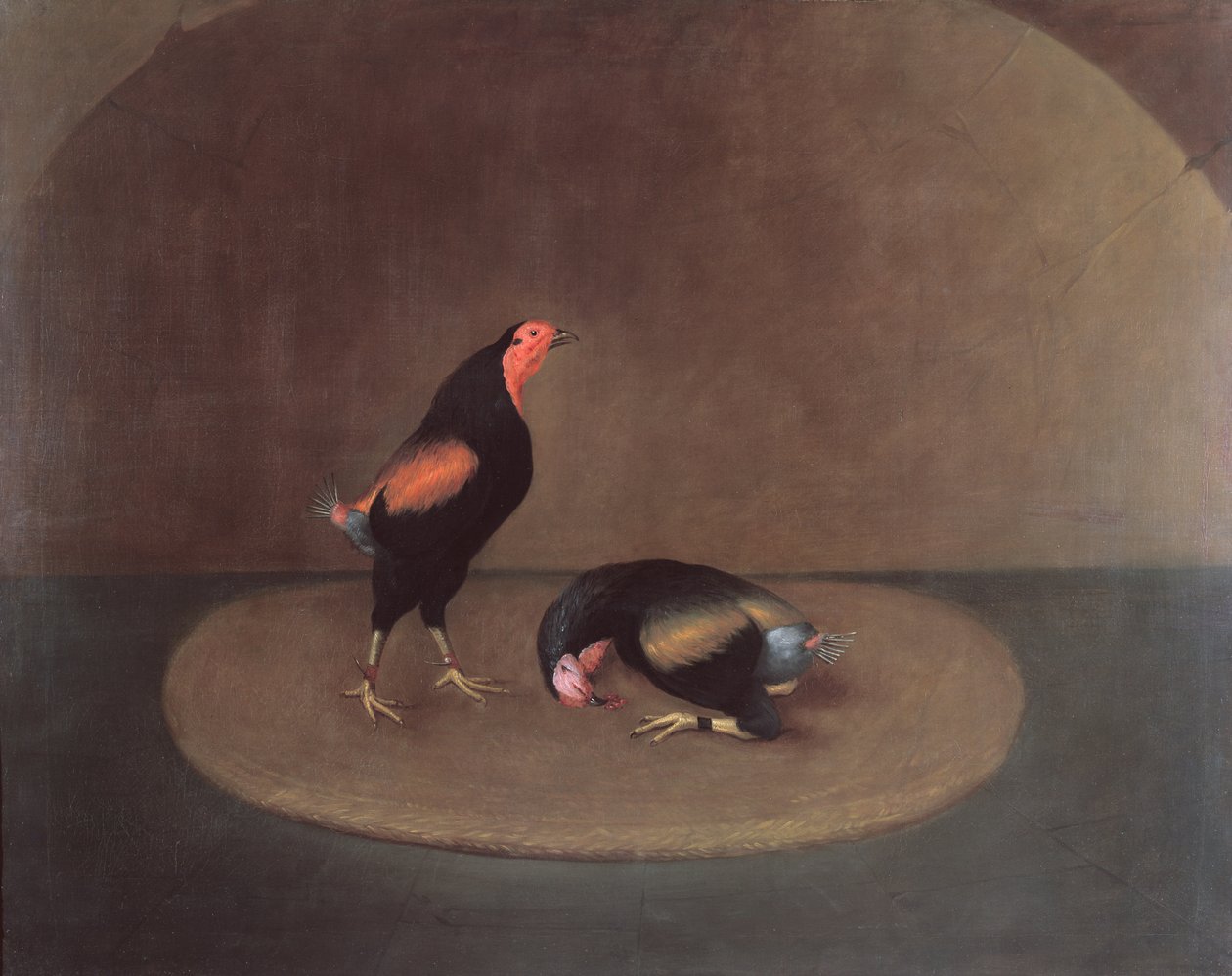 Cockfighters de J. Francis Sartorius