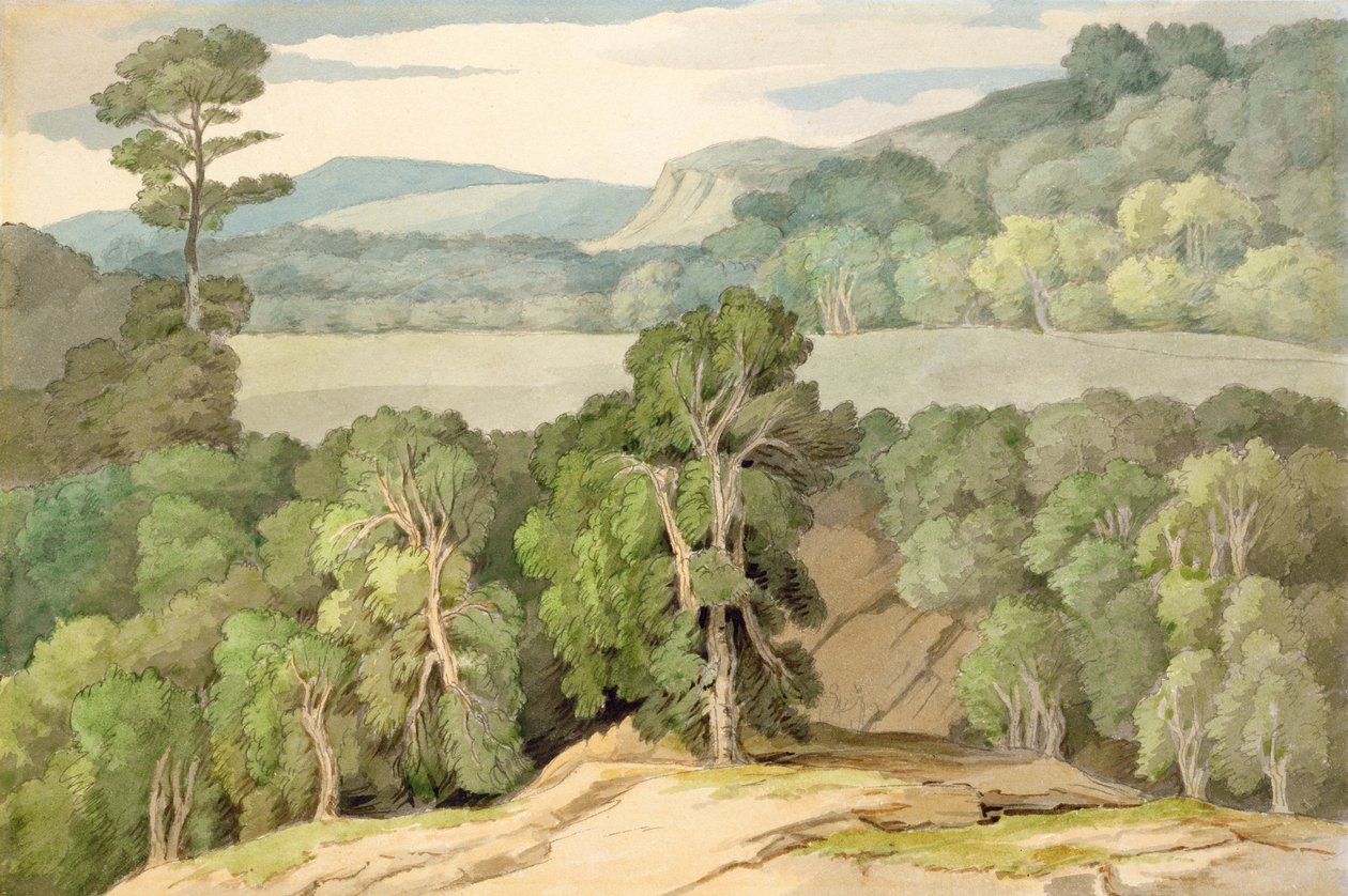 No Plym de Francis Towne