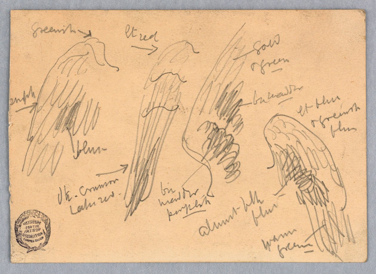 Esboços de asas de Francis Augustus Lathrop