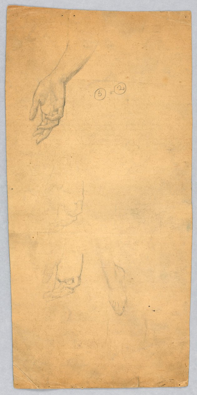 Estudos de mãos e pés de Francis Augustus Lathrop