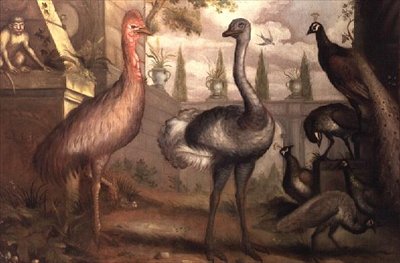 Recolha de Aves (óleo) de Francis Barlow