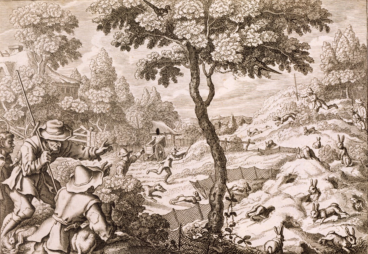 Cony Catching, gravado por Wenceslaus Hollar, 1671 de Francis Barlow