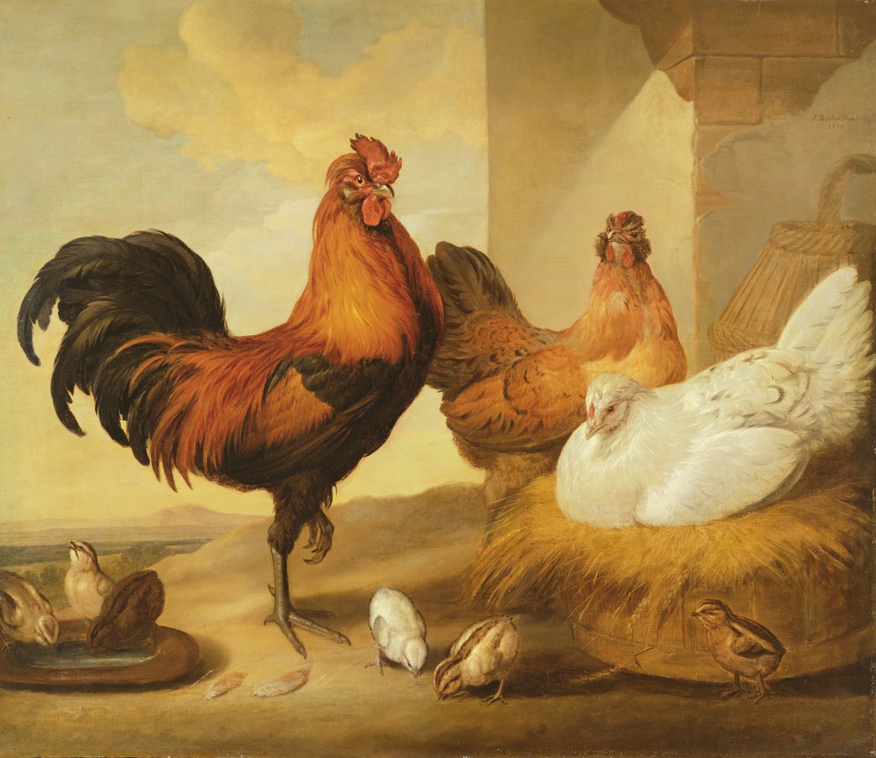 Galo Doméstico, Galinhas e Filhotes, 1655 de Francis Barlow