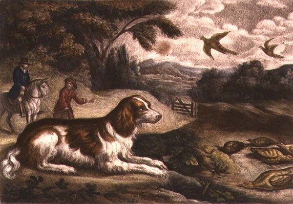 Cena de caça de John Smith (impressão) de Francis Barlow