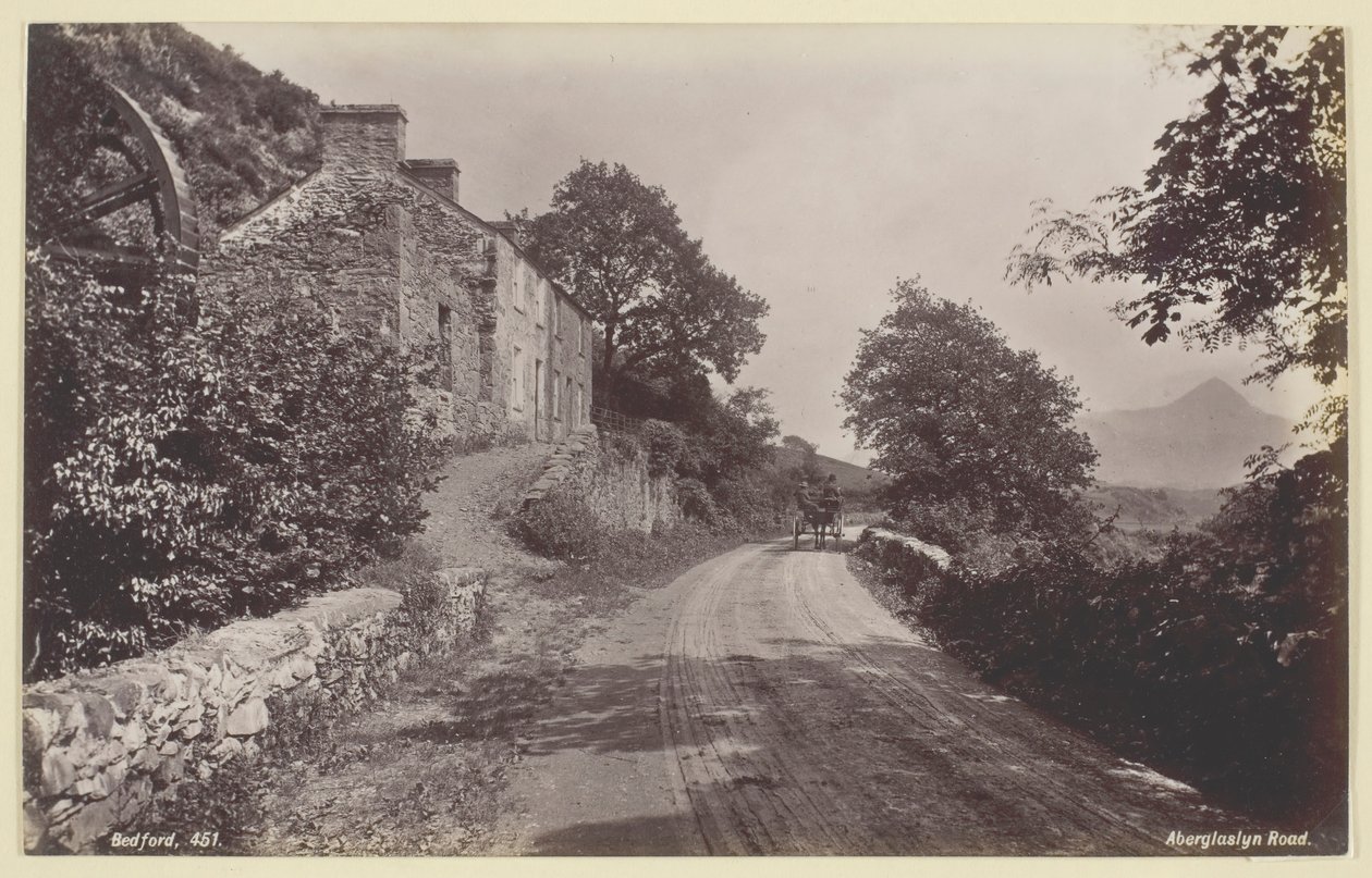 Floresta. de Francis Bedford