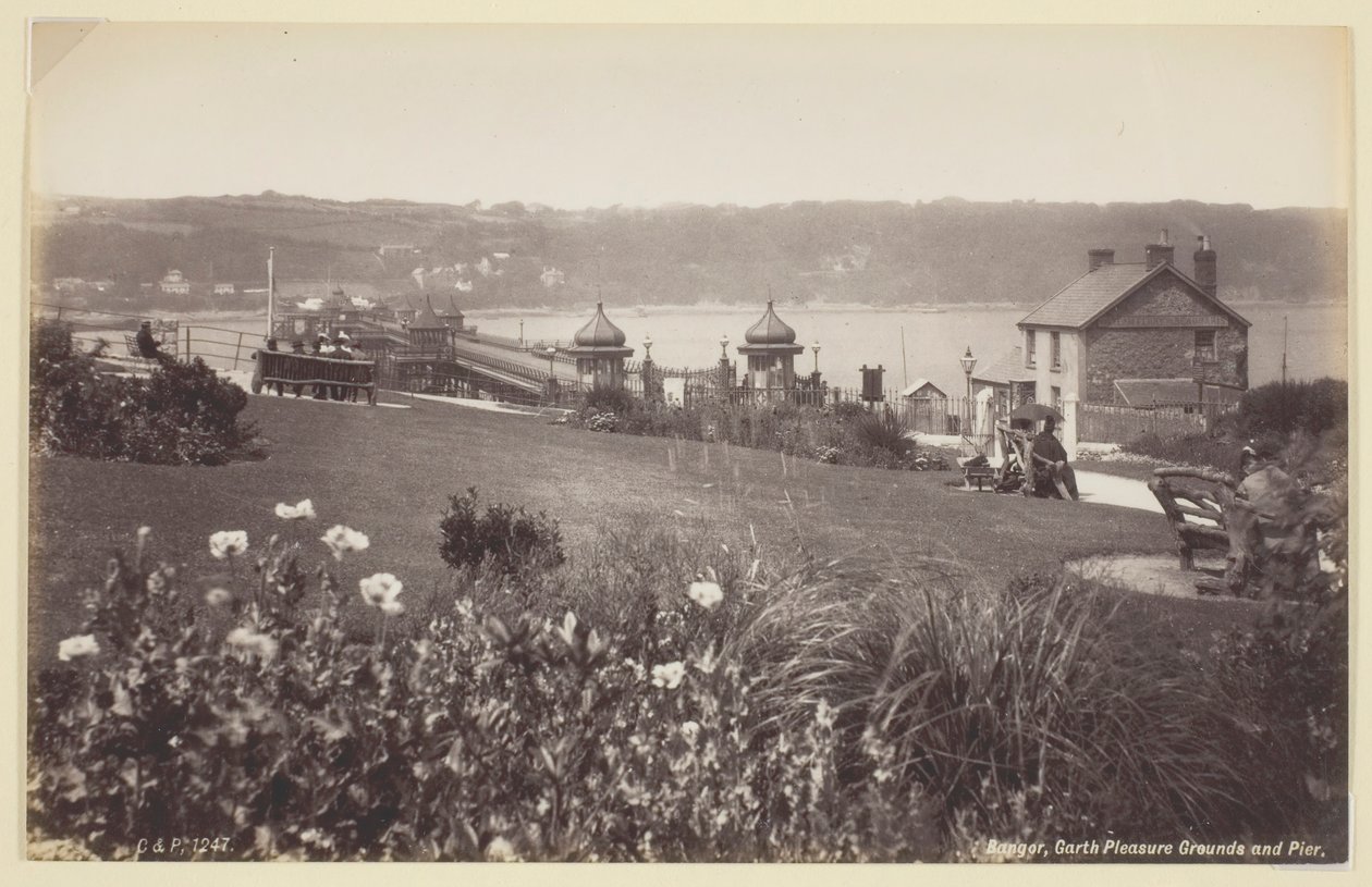 Floresta. de Francis Bedford