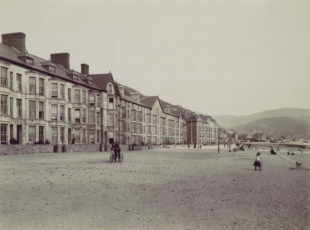 Floresta. de Francis Bedford