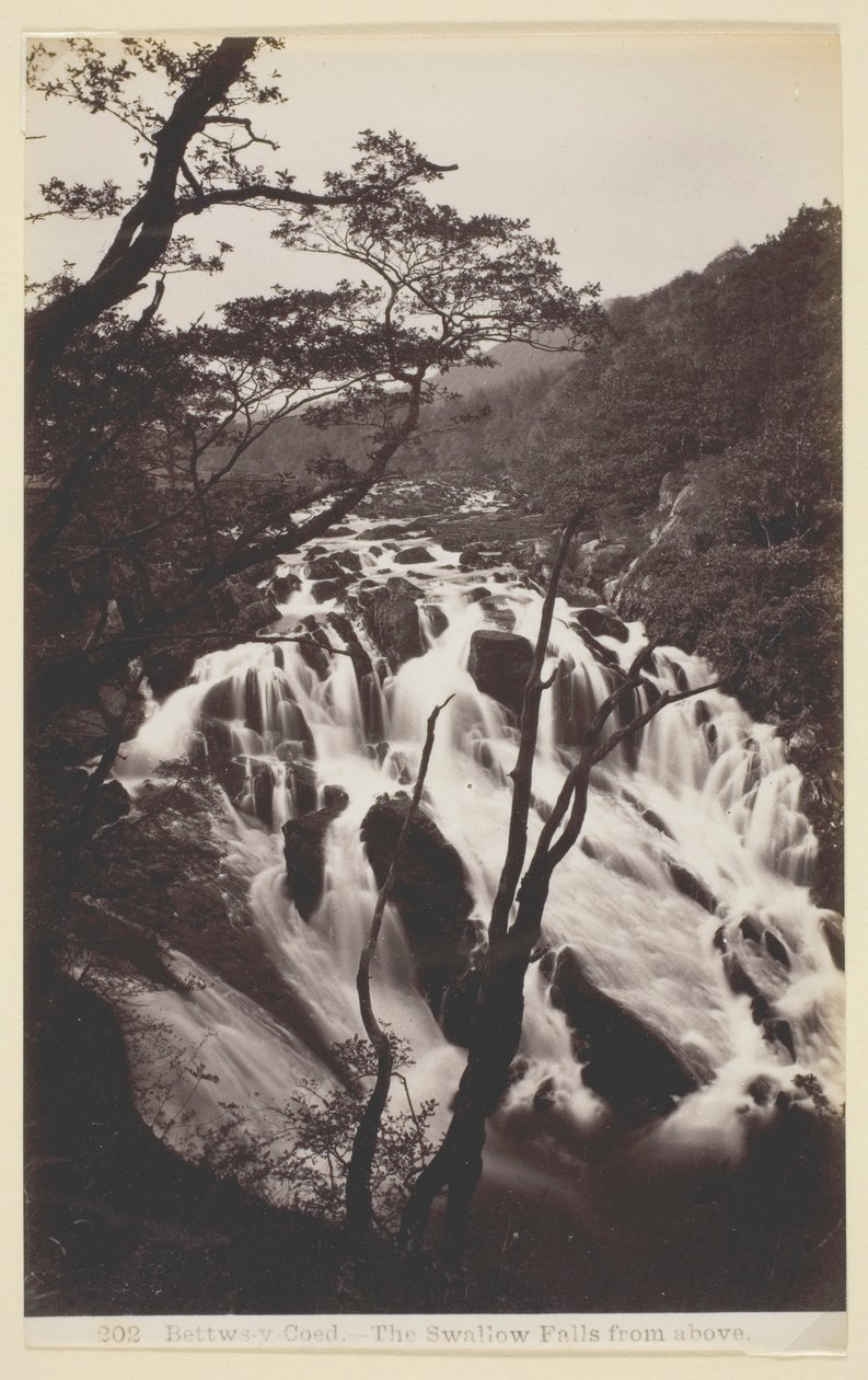 Betws-y Coed, The Swallow Falls from Above de Francis Bedford