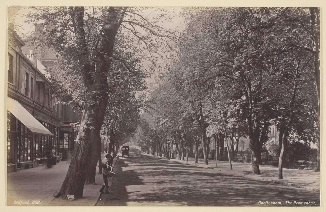 Cheltenham, a Promenade de Francis Bedford