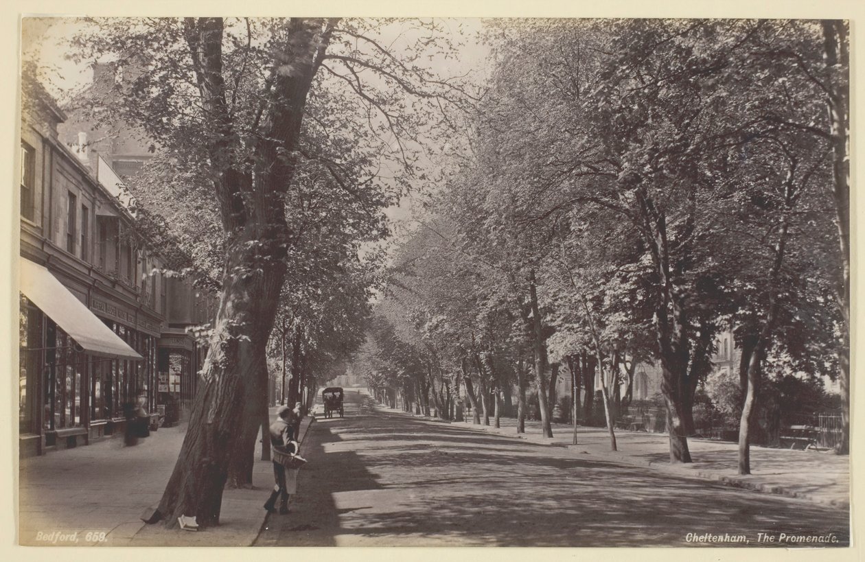 Cheltenham, o Passeio, 186094. de Francis Bedford