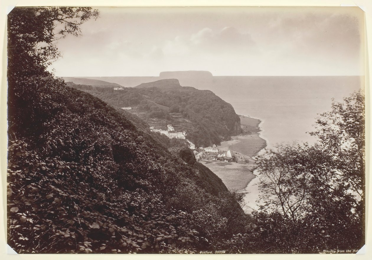 Floresta. de Francis Bedford