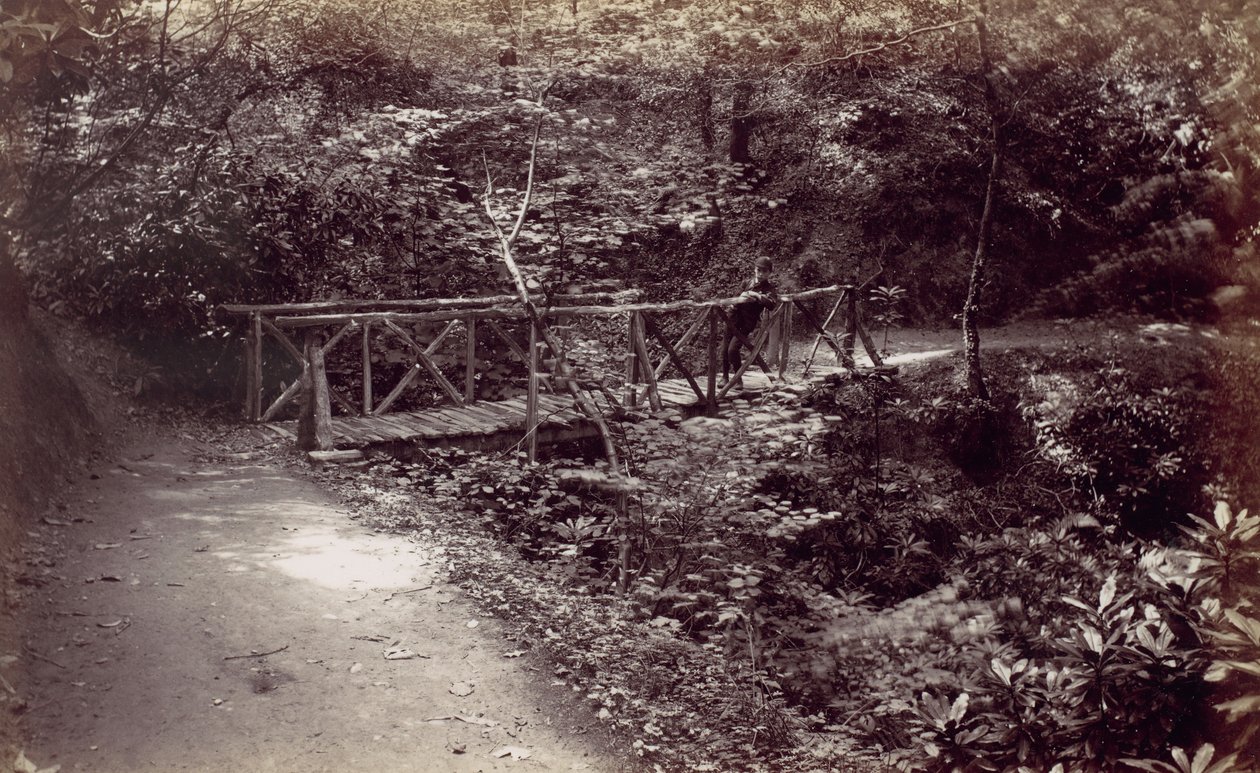 Baía de Colwyn. Ponte Rústica na Madeira, década de 1870. de Francis Bedford
