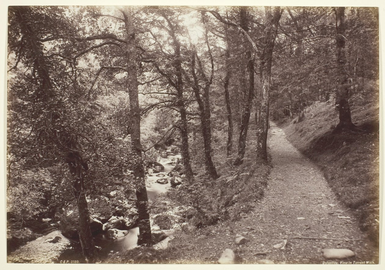 Dolgelley, vista em Torrent Walk de Francis Bedford