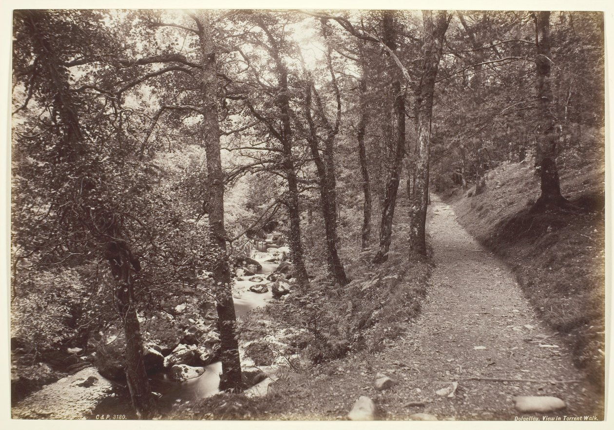Dolgelley, Vista em Torrent Walk, 186094. de Francis Bedford
